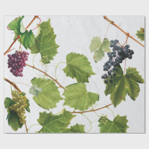 Grapes Vineyard Mediterranean Greek Island Wrapping Paper
