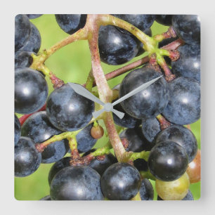 Grapes Wall Clock