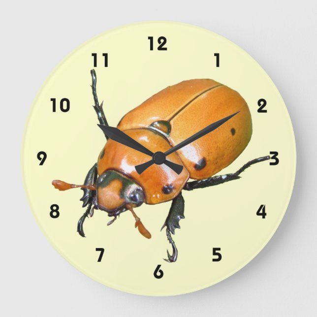 Grapevine Beetle ~ clock (Front)