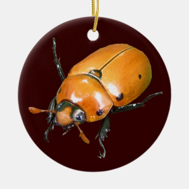 Grapevine Beetle ~ ornament (Front)