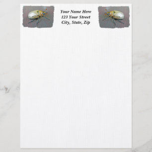 Grapevine Beetle (Pelidnota punctata) Letterhead Template