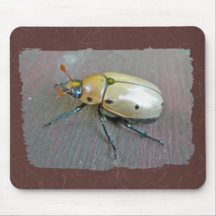 Grapevine Beetle (Pelidnota punctata) Series Mouse Pad