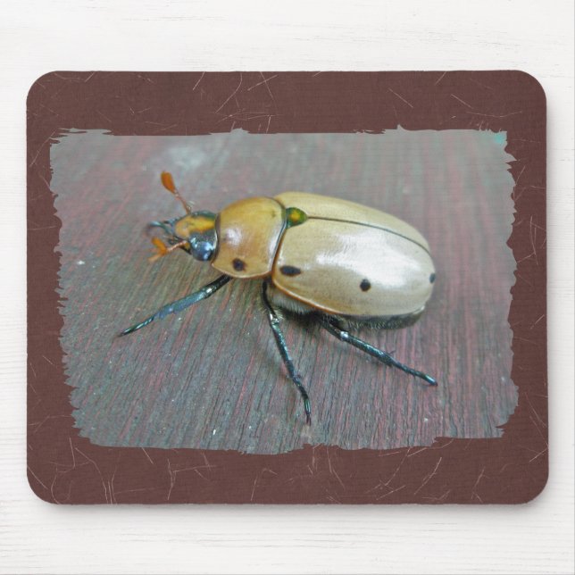 Grapevine Beetle (Pelidnota punctata) Series Mouse Pad (Front)