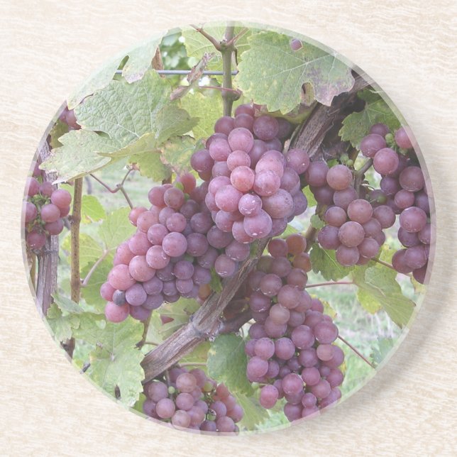 Grapevine Coaster (Front)