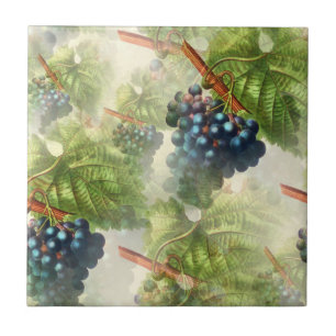 Grapevine Concord Grapes Mediterranean  Ceramic Tile
