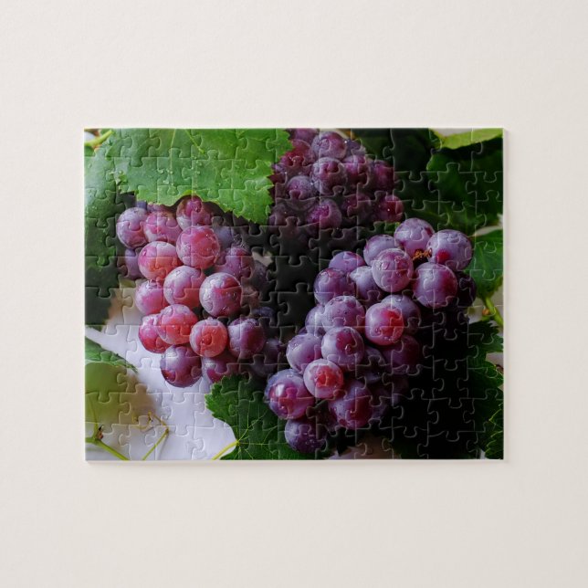 Grapevine Fruit Photography Jigsaw Puzzle (Horizontal)
