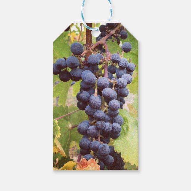 Grapevine Gift Tag (Front)