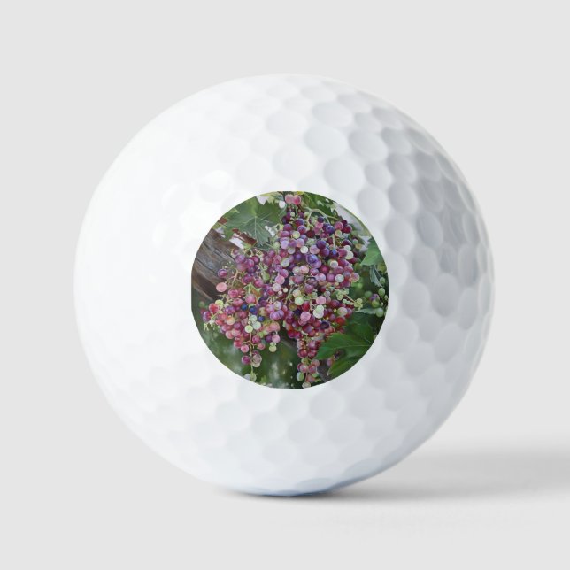 Grapevine Glory — Hyperrealistic Vineyard Art for  Golf Balls (Front)
