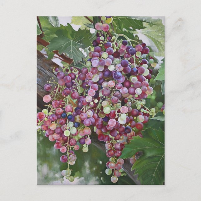 Grapevine Glory — Hyperrealistic Vineyard Art for  Postcard (Front)