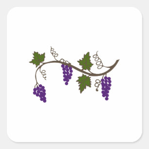 GRAPEVINE SQUARE STICKER
