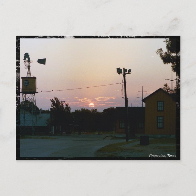 Grapevine Sunrise Postcard (Front)