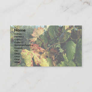 Grapevine, Tuscany, Italy Business Card