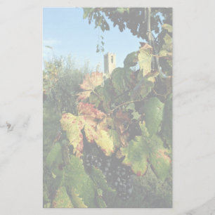 Grapevine, Tuscany, Italy Stationery