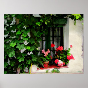 Grapevines and Geraniums Around a Window Poster