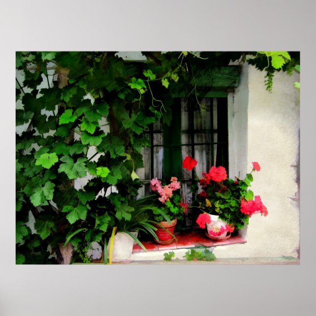 Grapevines and Geraniums Around a Window Poster (Front)