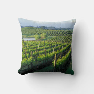 Grapevines in neat rows in California's Napa Cushion