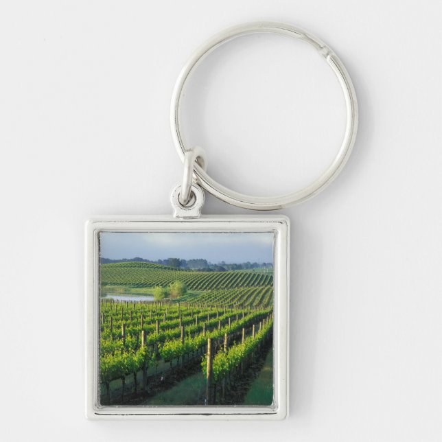 Grapevines in neat rows in California's Napa Key Ring (Front)