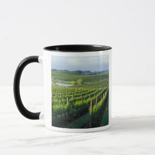 Grapevines in neat rows in California's Napa Mug