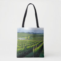 Grapevines in neat rows in California's Napa