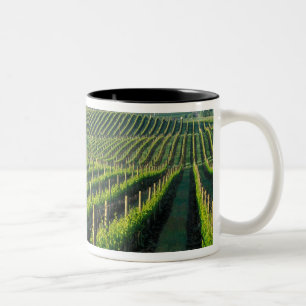 Grapevines in neat rows in California's Napa Two-Tone Coffee Mug