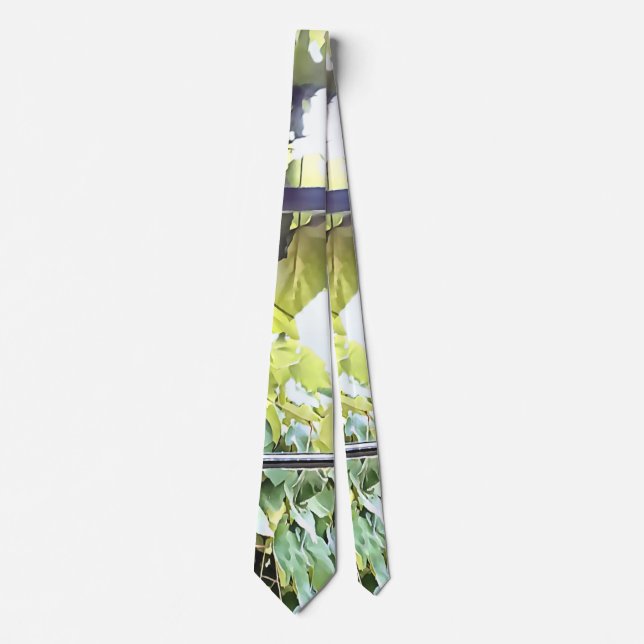 Grapevines Seen Through Window Tie (Front)