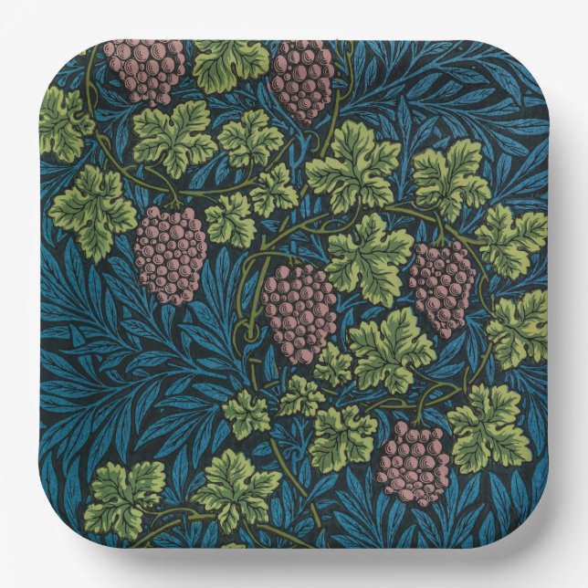  Grapevines with clusters of pink grapes  Paper Plate (Front)