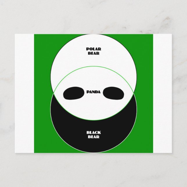 Graphic Bears Postcard (Front)