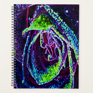 Graphic Black White Blue and Green Rose Detail Planner