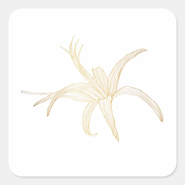Graphic  golden line image of a gerbera flower. square sticker (Front)