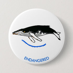 Graphic - Humpback WHALE - Wildlife - Nature- 7.5 Cm Round Badge
