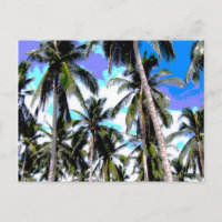 Graphic Palm Trees Design