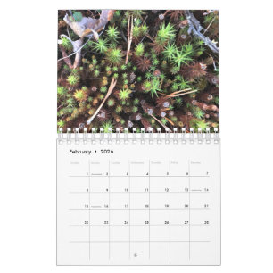 Graphic photo calendar