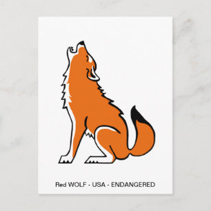  Graphic Red WOLF- Animal lover- Nature - Wildlife Postcard