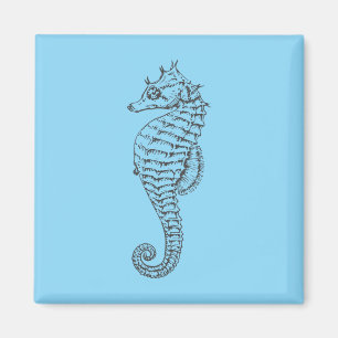 graphic seahorse in light blue magnet