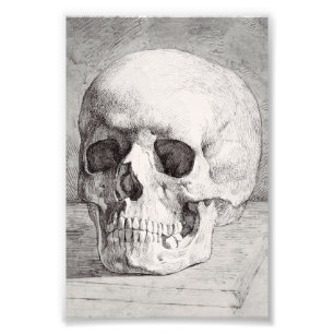 Graphic Skull Art: Minimalist & Bold Ink Design Photo Print