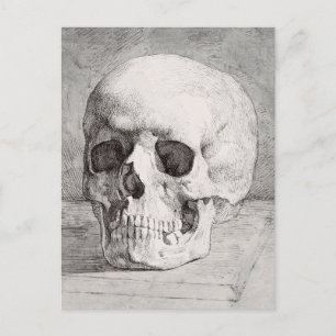 Graphic Skull Art: Minimalist & Bold Ink Design Postcard