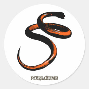 Graphic Snake Orange Classic Round Sticker
