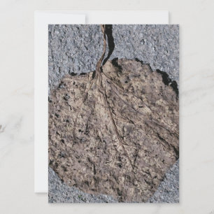 Graphic/Textured Invitation