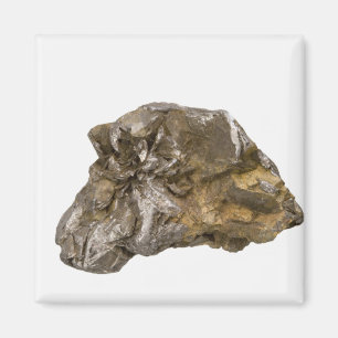 Graphite, Danville, Vermont, USA Magnet