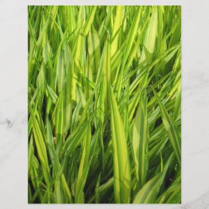 grass