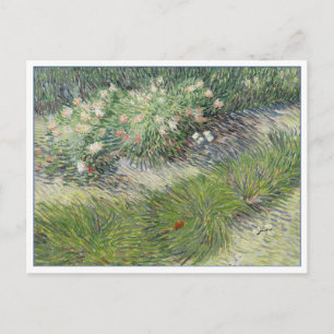 Grass and Butterflies by van Gogh Postcard