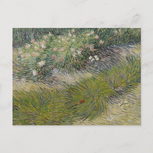 Grass and Butterflies by Vincent van Gogh Postcard (Front)