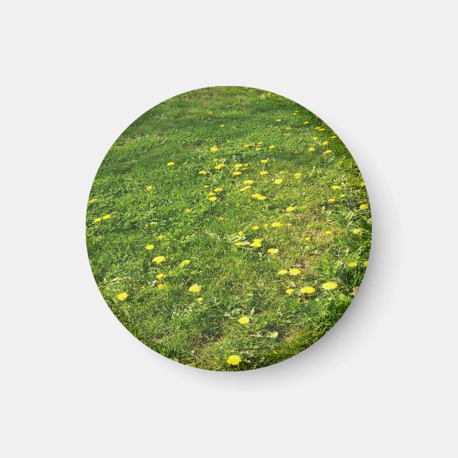 Grass and Dandelions Magnet (Front)