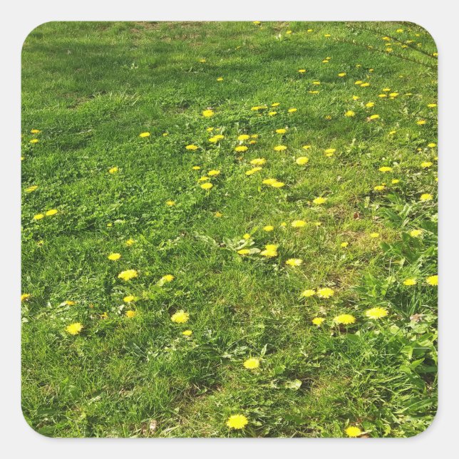 Grass and Dandelions Sticker (Front)