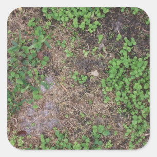 grass and dirt patch square sticker