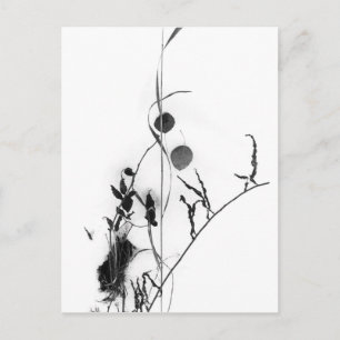 Grass and Leaves in Snow Postcard