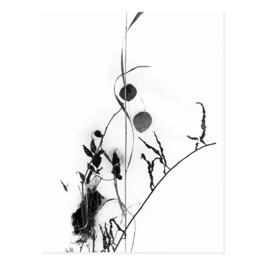 Grass and Leaves in Snow Postcard