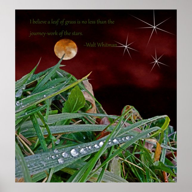 "Grass", Art Poster with Walt Whitman Quote (Front)