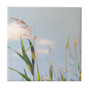 Grass Blue Sky Field Meadow Nature Ceramic Tile