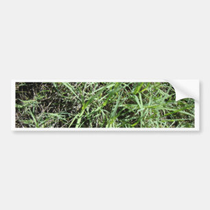 Grass Bumper Sticker
